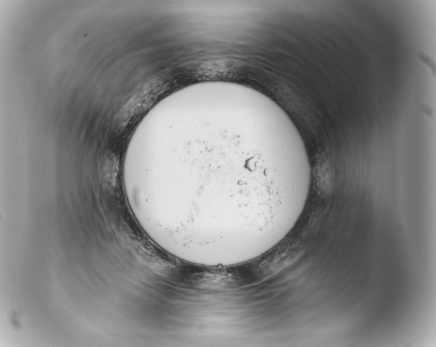 X0000103910458200810031217