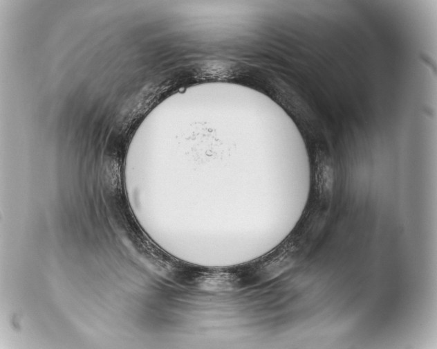 X0000103910459200810031217