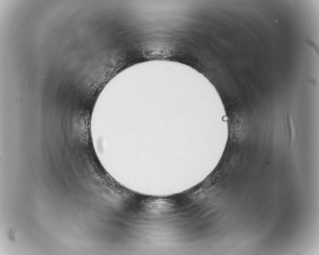 X0000103910460200810031217