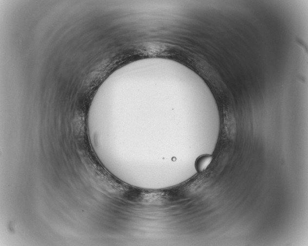 X0000103910461200810031217