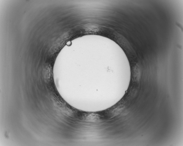 X0000103910463200810031217