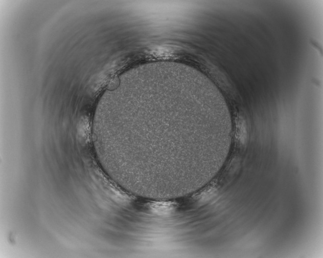 X0000103910465200810031217