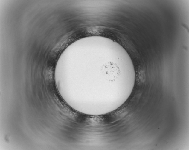 X0000103910466200810031217
