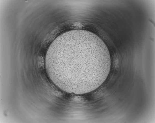 X0000103910467200810031217