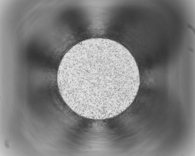 X0000103910468200810031217