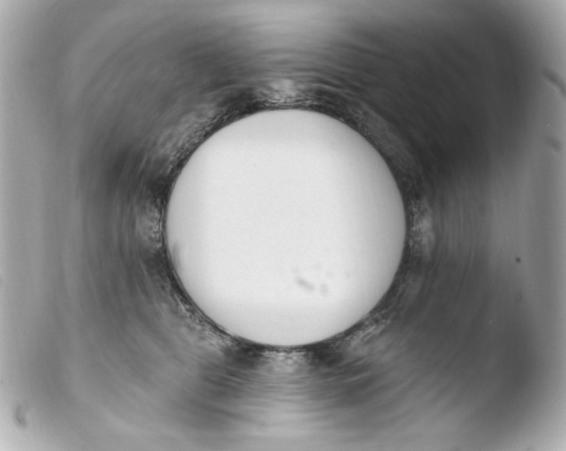X0000103910469200810031217