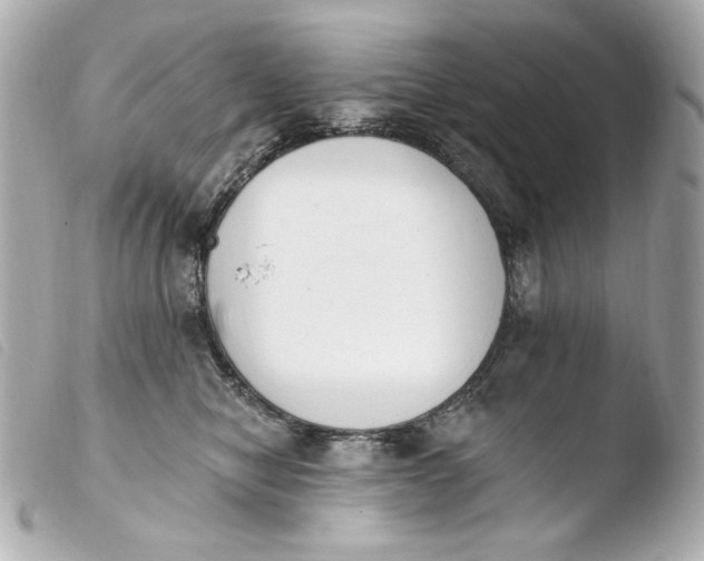 X0000103910470200810031217