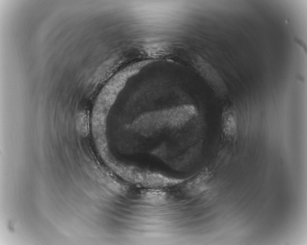 X0000103910471200810031217
