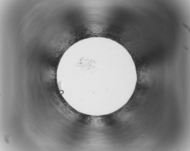X0000103910472200810031217