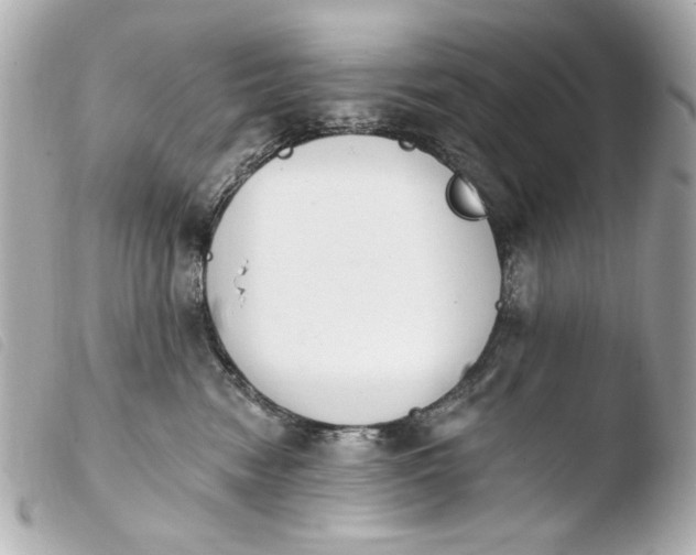 X0000103910474200810031217