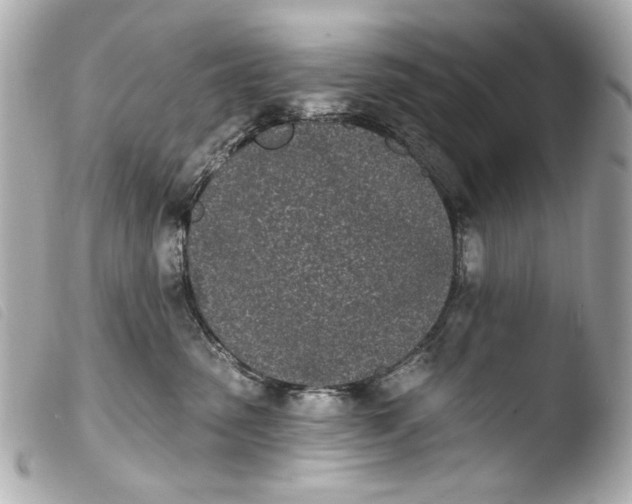 X0000103910475200810031217