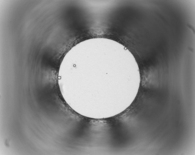 X0000103910476200810031217