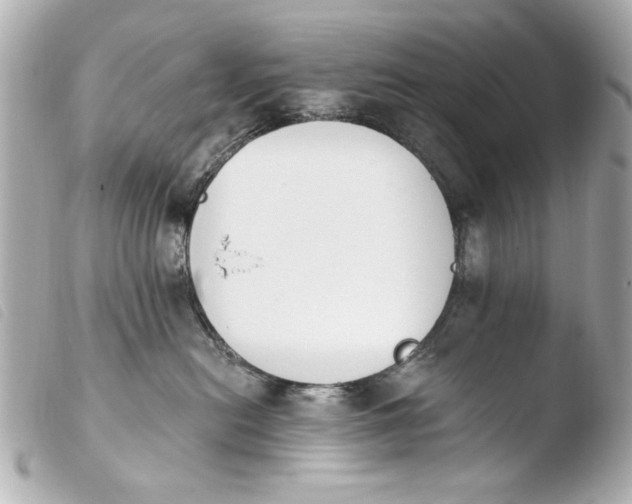 X0000103910478200810031217