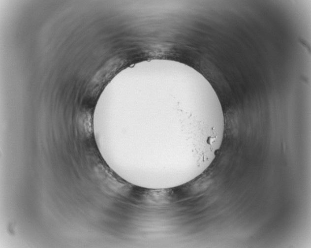 X0000103910479200810031217