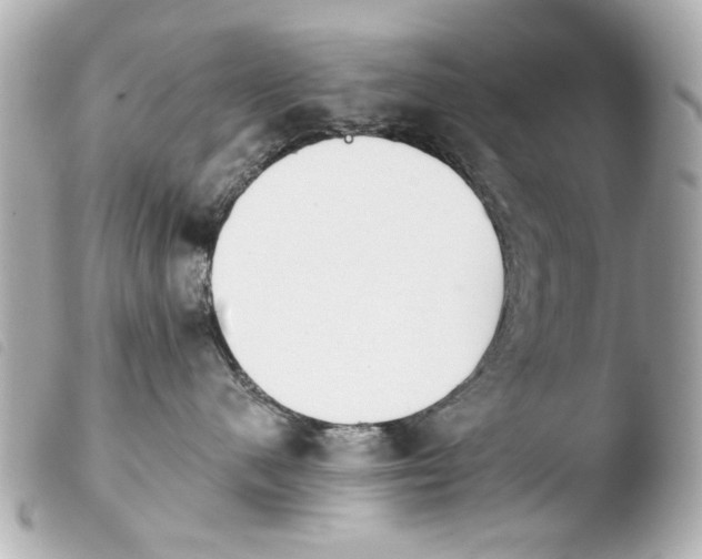 X0000103910480200810031217