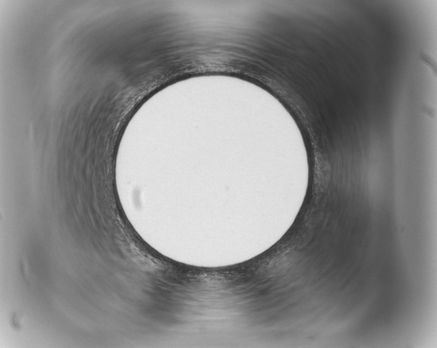 X0000103910481200810031216