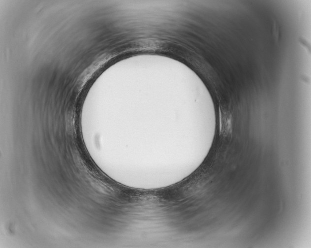 X0000103910483200810031216