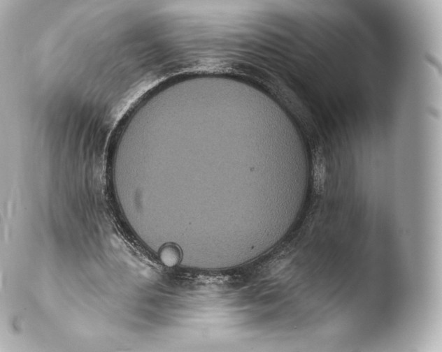 X0000103910484200810031216