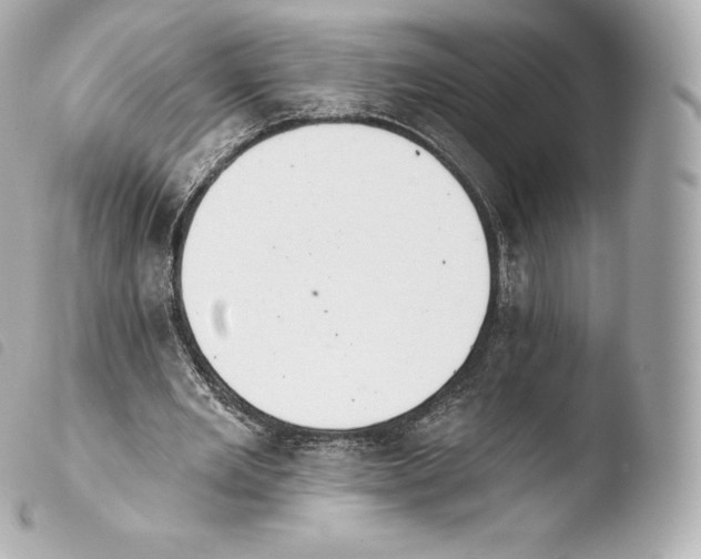 X0000103910485200810031216