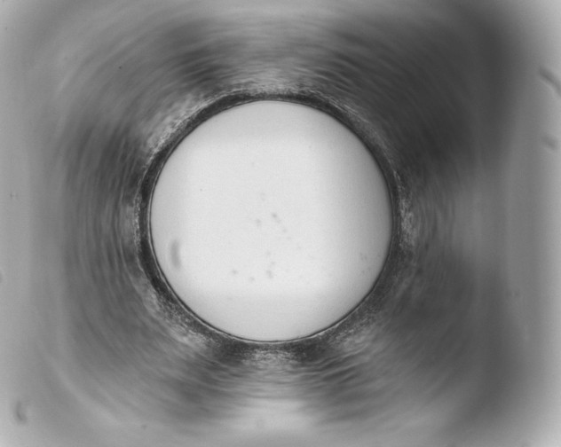 X0000103910487200810031216