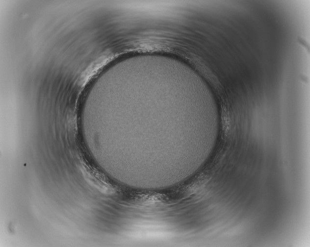X0000103910488200810031216