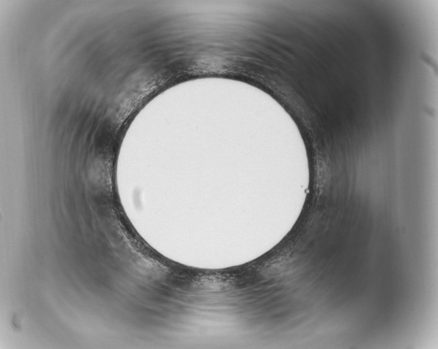 X0000103910489200810031216