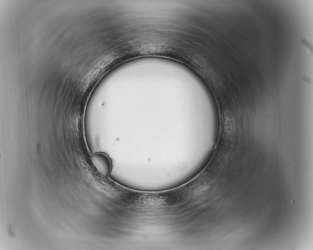 X0000103910491200810031216