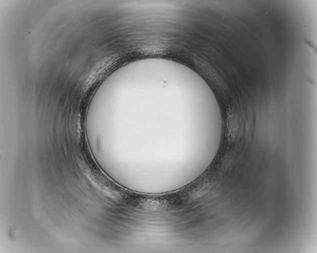 X0000103910494200810031216
