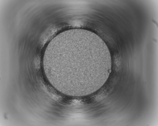 X0000103910496200810031216