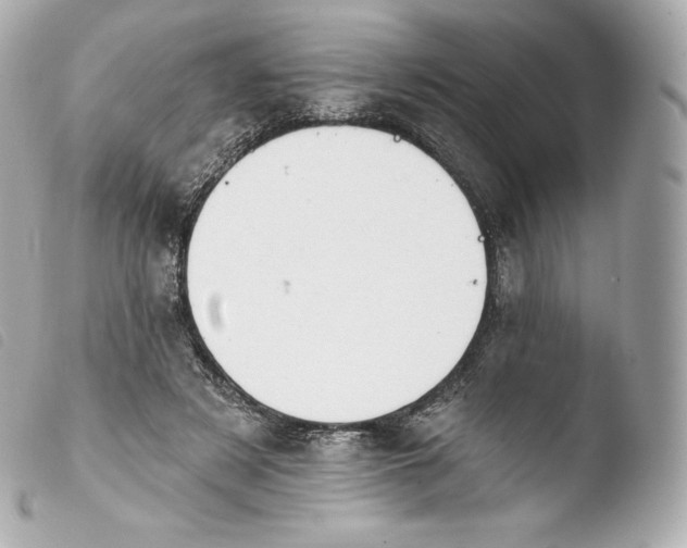 X0000103910497200810031216