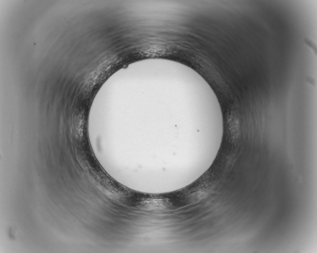 X0000103910499200810031216
