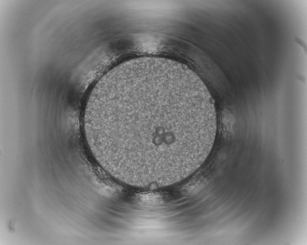 X0000103910500200810031216