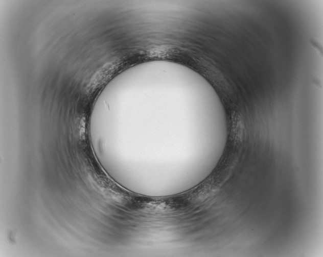 X0000103910502200810031216