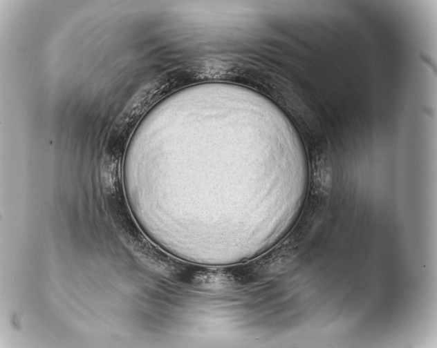 X0000103910503200810031216
