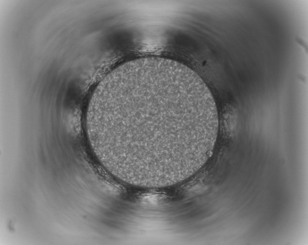 X0000103910504200810031216