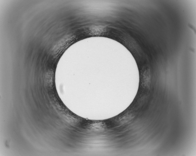 X0000103910505200810031216