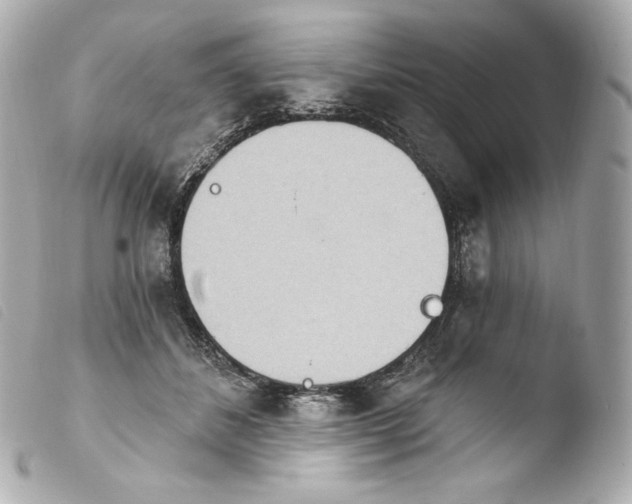 X0000103910508200810031216