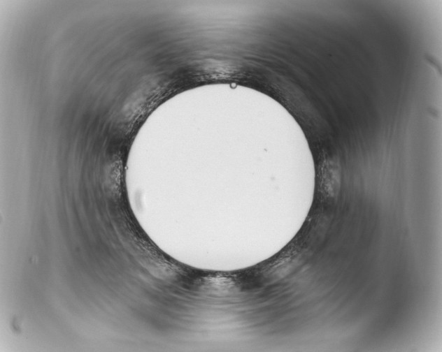 X0000103910509200810031216