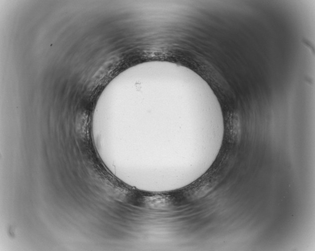 X0000103910511200810031216