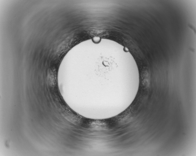 X0000103910515200810031216