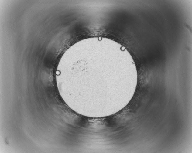X0000103910516200810031216