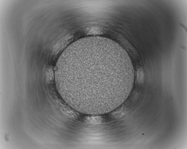 X0000103910517200810031216