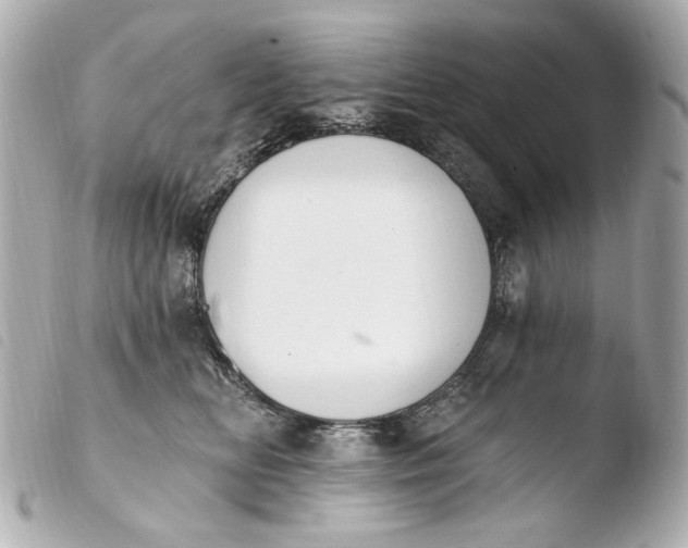 X0000103910518200810031216