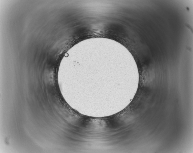 X0000103910520200810031216