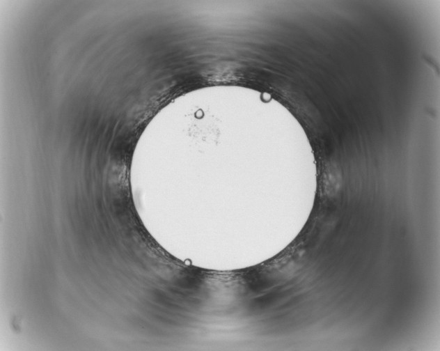 X0000103910521200810031216