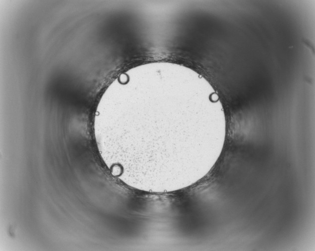 X0000103910524200810031216