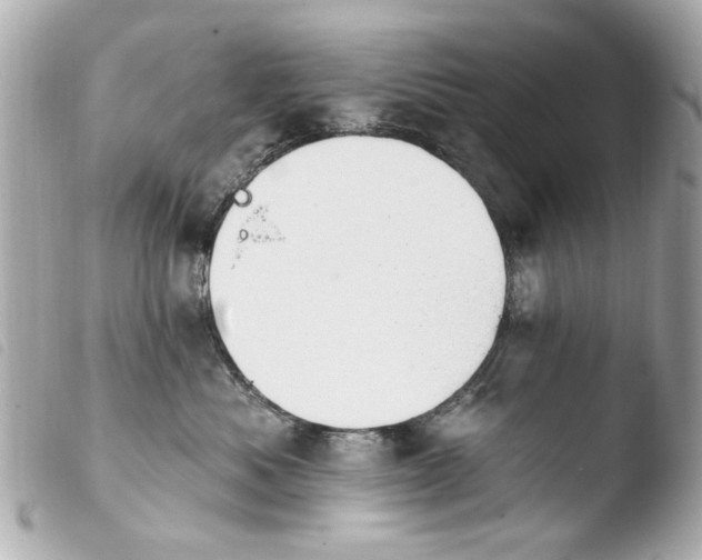 X0000103910525200810031216