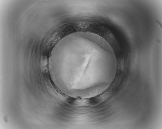 X0000103910526200810031216