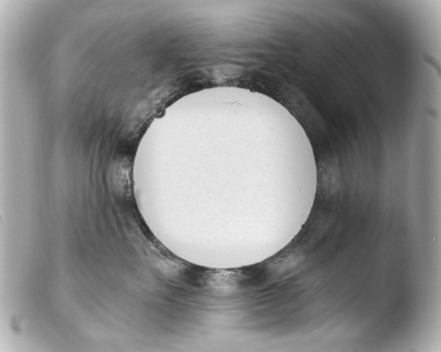 X0000103910527200810031216
