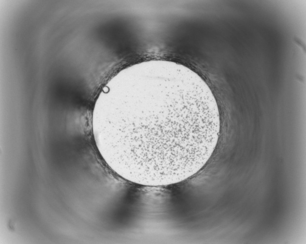 X0000103910528200810031216